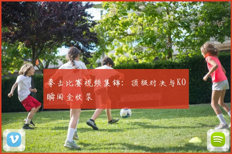 拳击比赛视频集锦:顶级对决与KO瞬间全收录