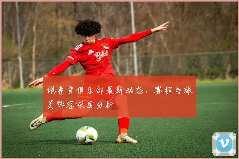 佩鲁贾俱乐部最新动态、赛程与球员阵容深度分析