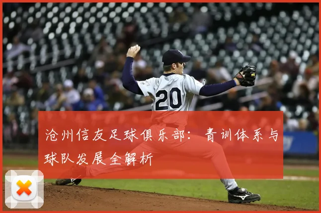 沧州信友足球俱乐部:青训体系与球队发展全解析