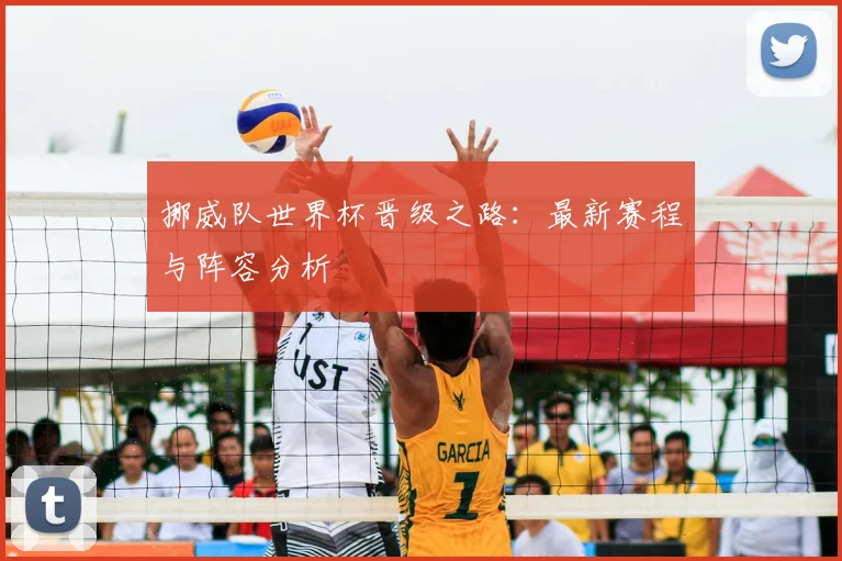 挪威队世界杯晋级之路:最新赛程与阵容分析